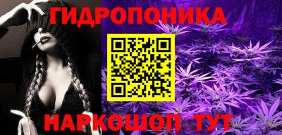 стаф Обь