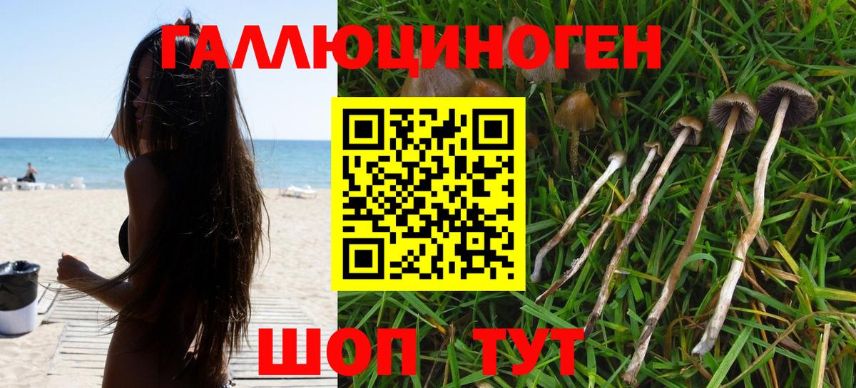 Псилоцибиновые грибы мухоморы Тосно
