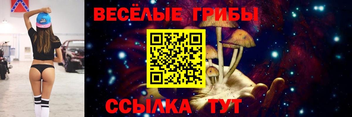 Галлюциногенные грибы мухоморы  Вход с VPN  Тосно 